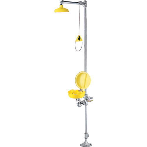 Combinaison de douche oculaire/faciale a/couvercle Fastek