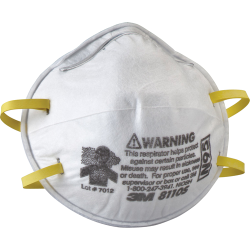 8110S Particulate Respirators, N95, NIOSH Certified, Small Fastek
