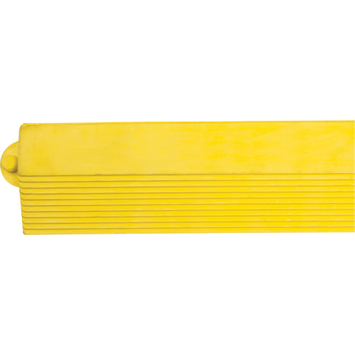 Border Ramp for Matting Fastek