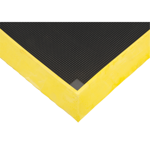 Tapis pour l'assainissement des chaussures, Caoutchouc, 2-2/3' la x 3-1/4' lo x 2-1/2" &eacute;pais, Jaune Fastek