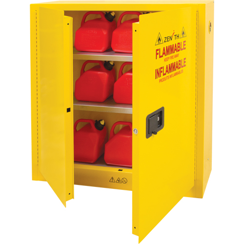 Flammable Storage Cabinet, 24 gal., 2 Door, 43" W x 44" H x 12" D Fastek