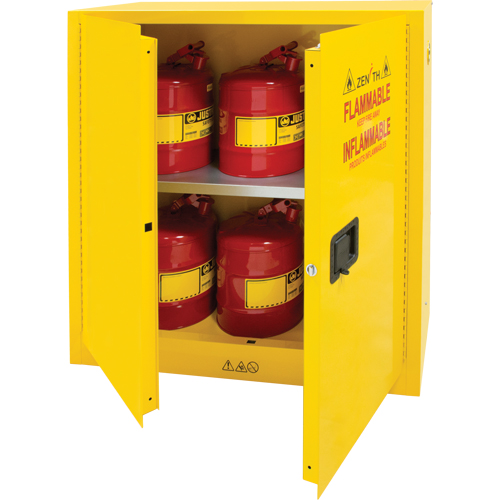 Flammable Storage Cabinet, 30 gal., 2 Door, 43" W x 44" H x 18" D Fastek