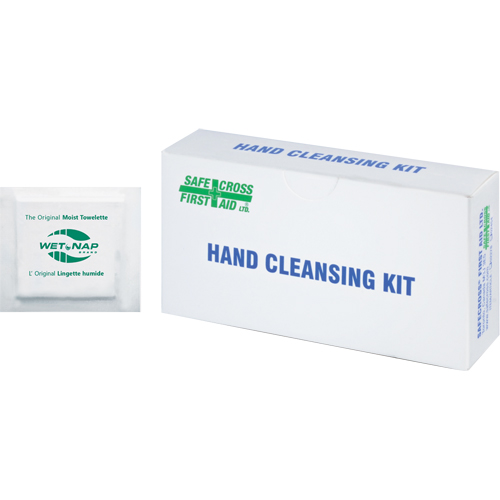 Hand Cleansing Moist Wipes, Towelette Fastek