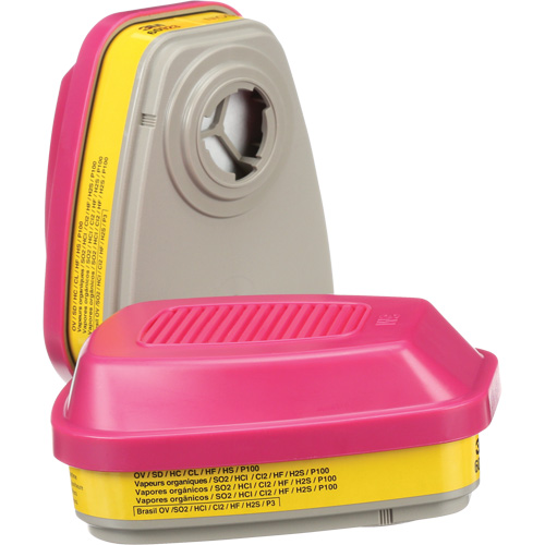 Cartouches pour respirateur s&eacute;rie 6000, Cartouche gaz/vapeur, Vapeurs organiques/Gaz acides/P100 Fastek