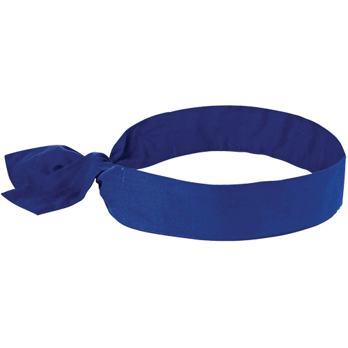 Chill-its&reg; 6700 Cooling Bandanas, Blue Fastek