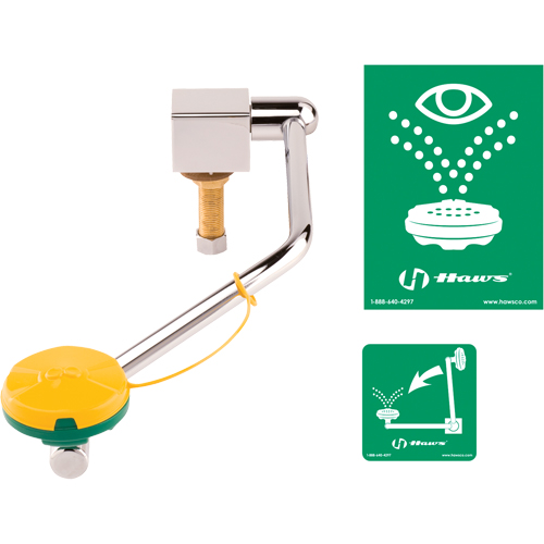 Eye/Face Wash Station, Sink Mount Installation Fastek