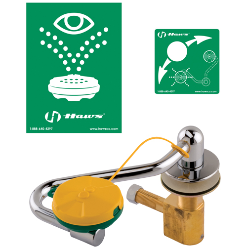 Eye/Face Wash Station, Sink Mount Installation Fastek
