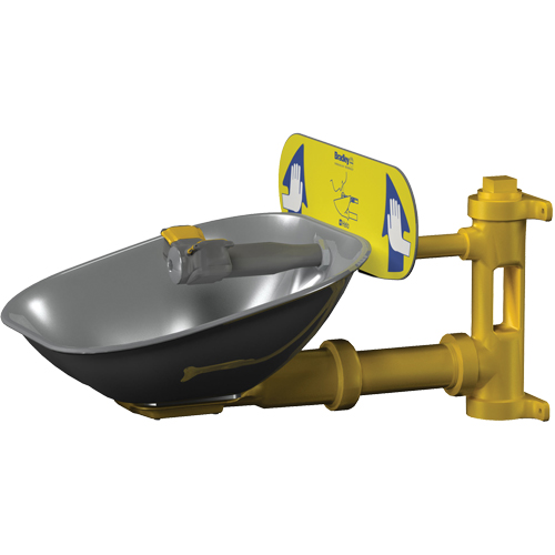 Poste de douche oculaire Halo, Installation Montage mural, Bol Acier inoxydable Fastek