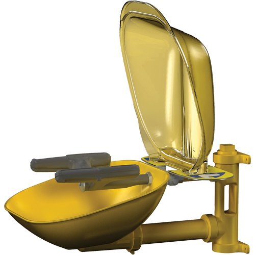 Halo Face/Eyewash Stations, Wall-Mount Installation, Plastic Bowl Fastek