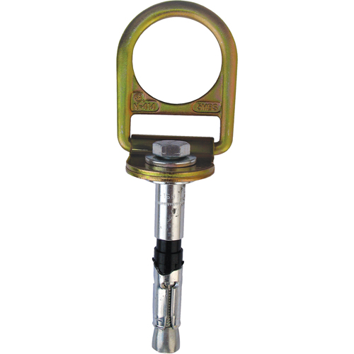 PRO Concrete D-ring Anchor with Bolt, Concrete/D-Ring, Permanent Use Fastek