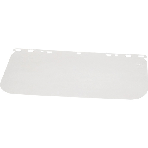 Valugard Visor, PETG, Clear Tint Fastek