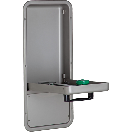 Eye/Face Wash Station, Wall-Mount Installation, Stainless Steel Bowl Fastek