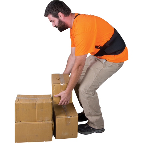 Support lombaire, &eacute;lastique, Petit Fastek