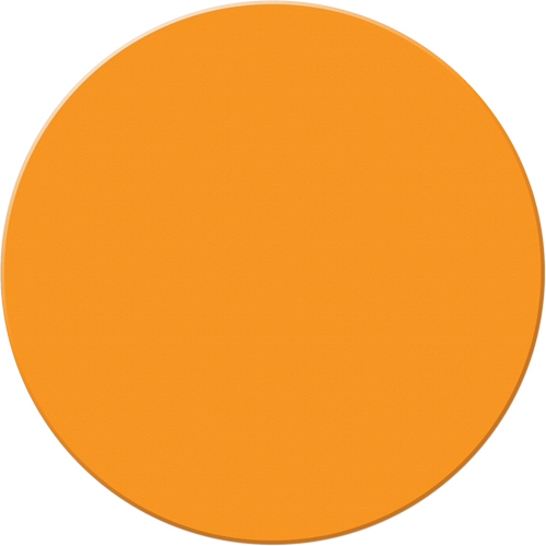 Marqueurs all&eacute;g&eacute;e/5S Armor Stripe, Cercle, 6" lo x 6" la, Orange, Plastique Fastek