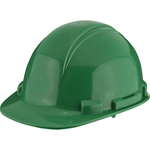 Dynamic Whistler Hardhat, CSA Type 1, Pinlock Suspension Fastek
