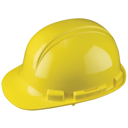 Dynamic Whistler Hardhat, CSA Type 1, Pinlock Suspension Fastek