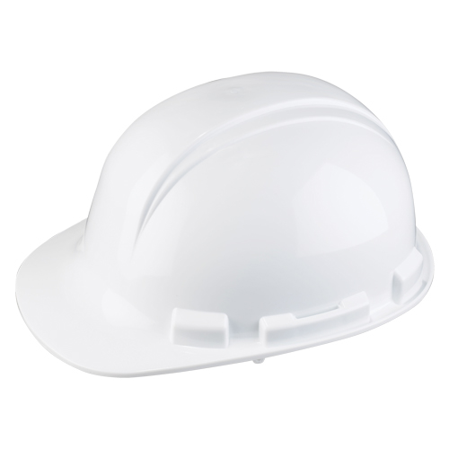 Dynamic Whistler Hardhat, CSA Type 1, Ratchet Suspension Fastek