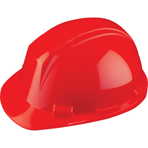 Dynamic Mont-Blanc Hardhat, CSA Type 2, Ratchet Suspension Fastek