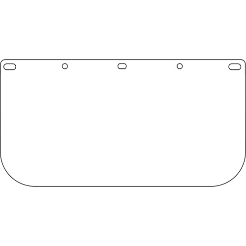 Visi&egrave;re pour &eacute;cran facial Dynamic, PETG, Teinte Transparent Fastek