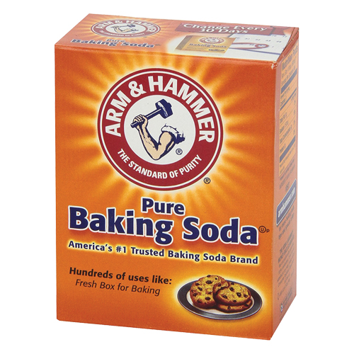 Bicarbonate de soude Arm & Hammer Fastek