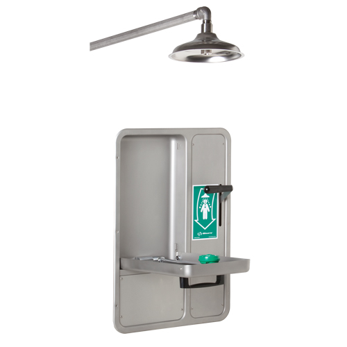 Eye/Face Wash and Shower, Ceiling-Mount Fastek