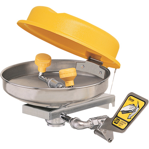 Poste de douche oculaire, Installation Montage mural, Bol Acier inoxydable Fastek