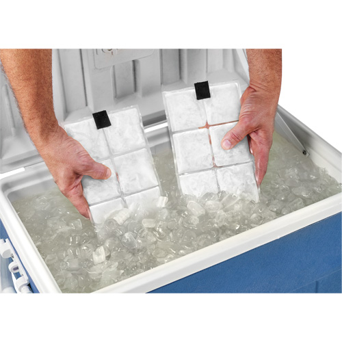 Sachets pour veste de refroidissement &agrave; changement de phase 6260 Chill-Its Fastek