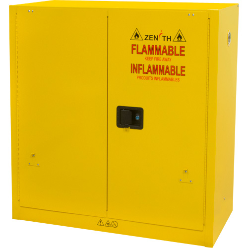 Flammable Storage Cabinet, 30 gal., 2 Door, 43" W x 44" H x 18" D Fastek
