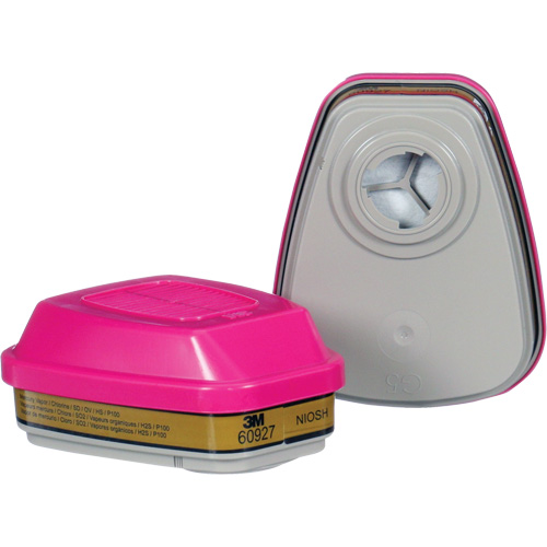 Cartridge, Combination Gas/Vapour Cartridge and Particulate Filter, Multi-Gas/Vapour/P100 Fastek