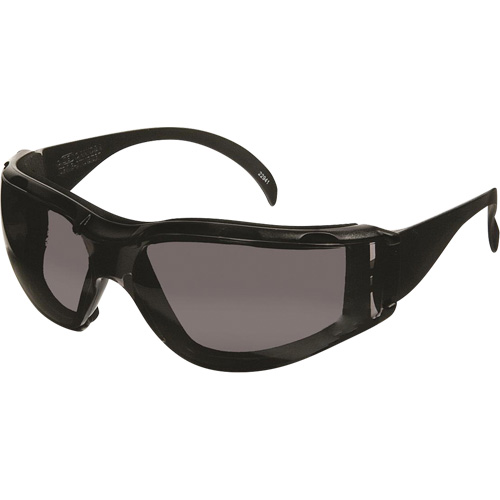 Lunettes de s&eacute;curit&eacute; CeeTec DX, Lentille Gris, Antibu&eacute;e/Anti-&eacute;gratignures, R&eacute;pond ou surpasse la norme CSA Z94.3 Fastek