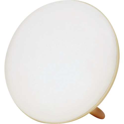 Jumbo Therapy Light for Seasonal Affective Disorder Fastek