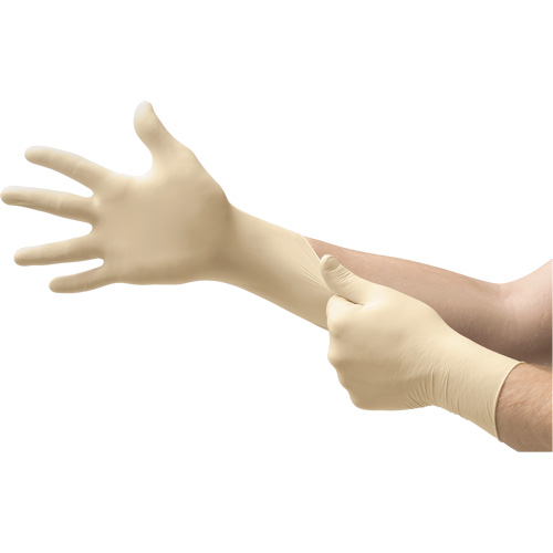 Gants d'examen MICROFLEX Ultra One, 6,5/7/Petit, Latex, 9,8 mils, Sans poudre, Naturel, Classe 2 Fastek