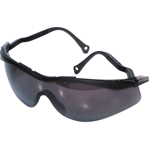 Lunettes de s&eacute;curit&eacute; North The Edge, Lentille Fum&eacute;e, Antibu&eacute;e/Anti-&eacute;gratignures, R&eacute;pond ou surpasse la norme CSA Z94.3 Fastek