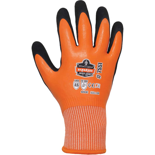 Gants de travail enduits et r&eacute;sistant &agrave; la coupe pour l'hiver ProFlex 7551, Taille Petit, Calibre 10/13, Rev&ecirc;tement Nitrile/Latex de caoutchouc, Enveloppe en PEHP, ASTM ANSI niveau A5/EN 388 niveau E Fastek