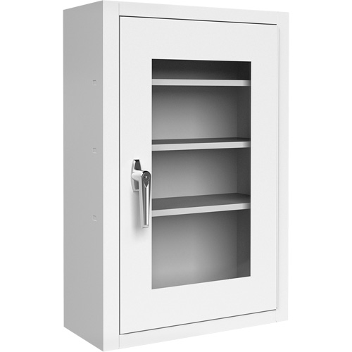 Lockable Medicine Cabinet with Plexiglas Door Fastek