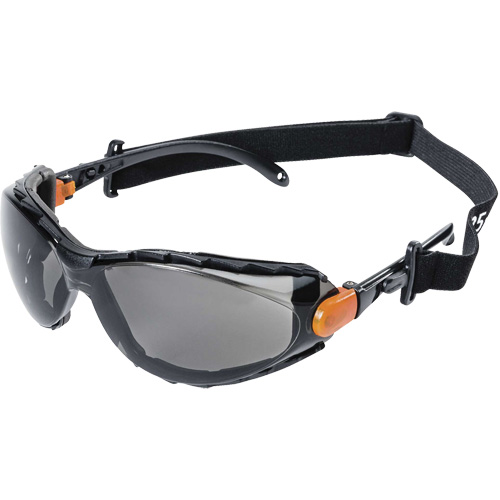 XPS502 Sealed Safety Glasses, Smoke Lens, Anti-Fog/Anti-Scratch Fastek