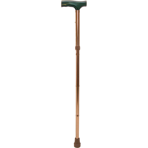 Folding Cane Fastek
