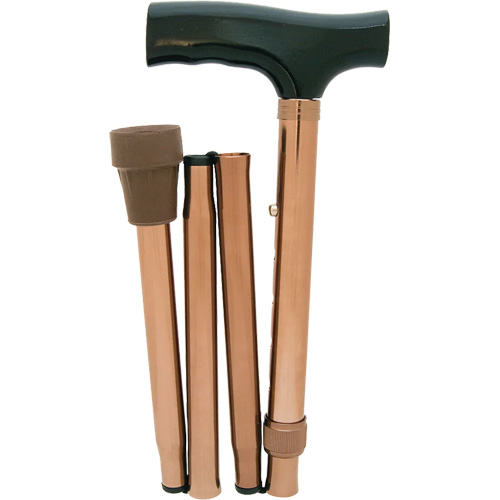 Folding Cane Fastek