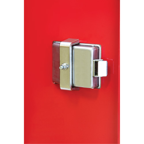 Armoires ext&eacute;rieures robustes pour extincteurs, 14" la x 28" h x 10" p Fastek