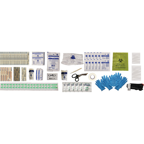 Shield First Aid Kit, Meets/Exceeds CSA Z1220-24 Type 2 Low-Risk Environment, Small (2-25 Workers) Fastek
