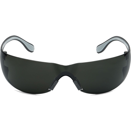 Lunettes de s&eacute;curit&eacute; Adapt Lite, Lentille Fum&eacute;e, Antibu&eacute;e/Anti-&eacute;gratignures, ANSI Z87+/R&eacute;pond ou surpasse la norme CSA Z94.3 Fastek