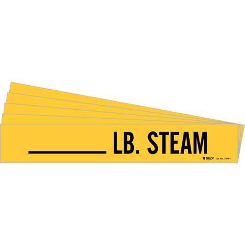 Marqueurs de tuyau LB. Steam, Autocollant, 2-1/4" h x 2-3/4" la, Noir sur jaune Fastek