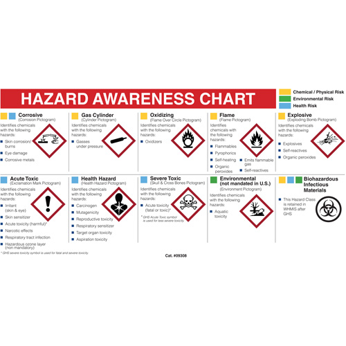 Mini MSDS Chart- English Fastek