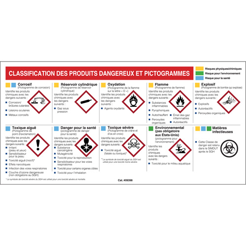 Mini MSDS Chart- French Fastek