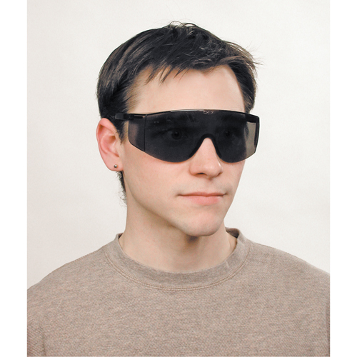 Tacoma&reg; Safety Glasses, Grey/Smoke Lens, Anti-Scratch, ANSI Z87+ Fastek