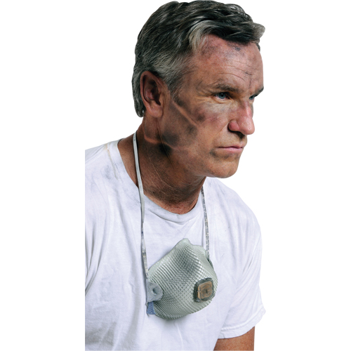 2700 Particulate Respirators, N95, NIOSH Certified, Large/Medium Fastek