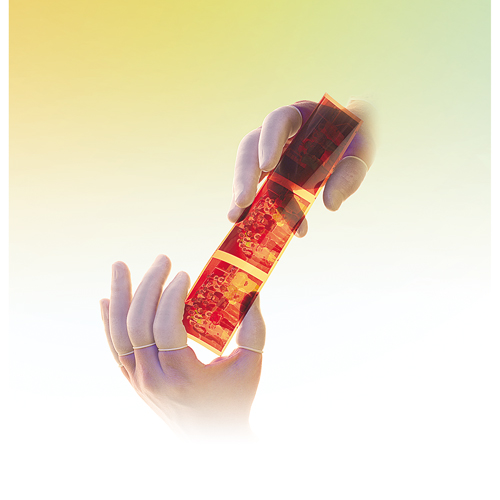 QRP&reg; Low Powder Latex Finger Cots Fastek