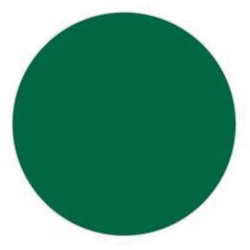 Round Write-On Labels, Circle, 1.5" L x 1.5" W, Green Fastek