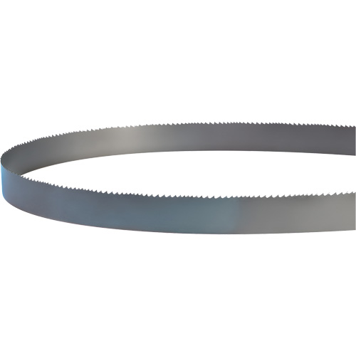 Welded Bandsaw Blade, Bi-Metal, 14' L x 1" W x 4 - 6 TPI Fastek