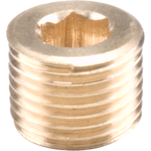 Pipe Plugs - Countersunk Hex, 1/8" Fastek